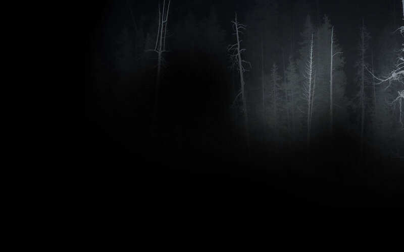 Silhouetted Trees in Forest — Black, Dark, Night, Digital Art, Darkness