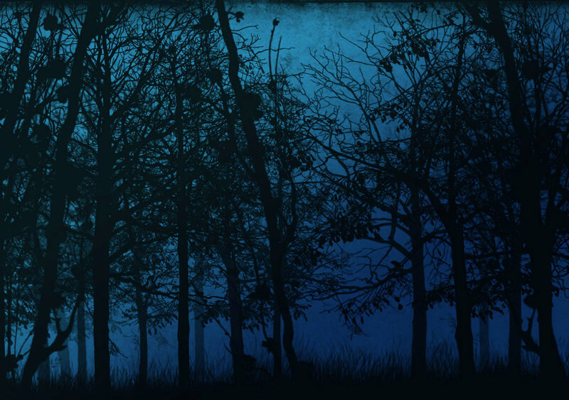 Silhouetted Trees in Forest — Blue, Dark, Night, Digital Art