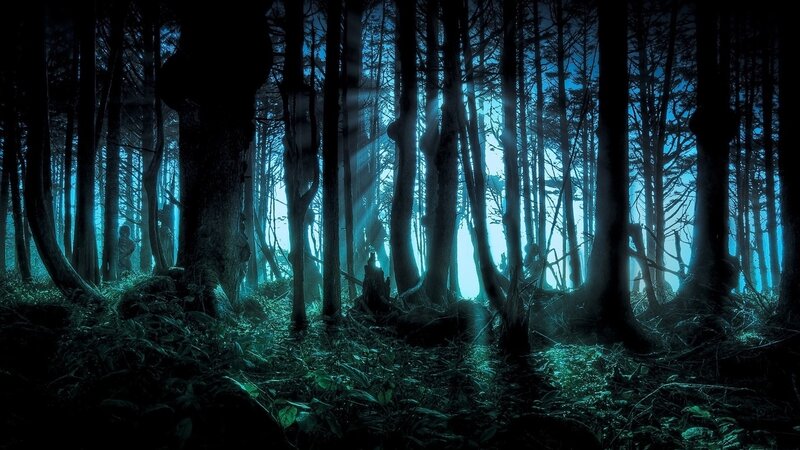 Silhouetted Trees in Forest — Blue, Dark, Night