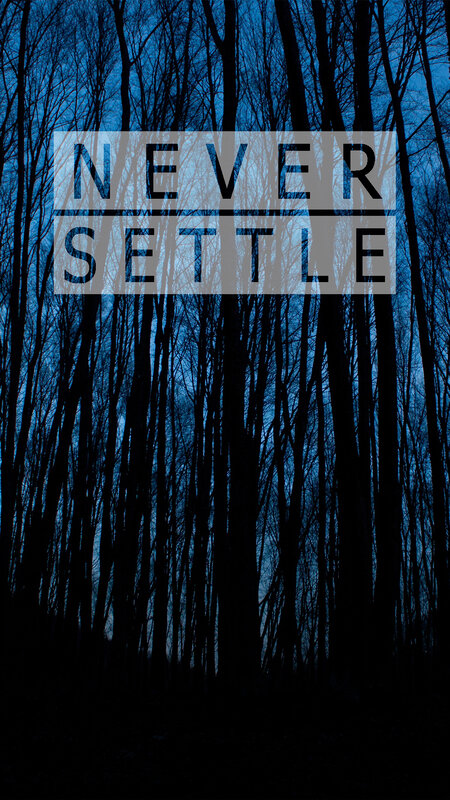 Silhouetted Trees in Forest — Blue, Dramatic, Night