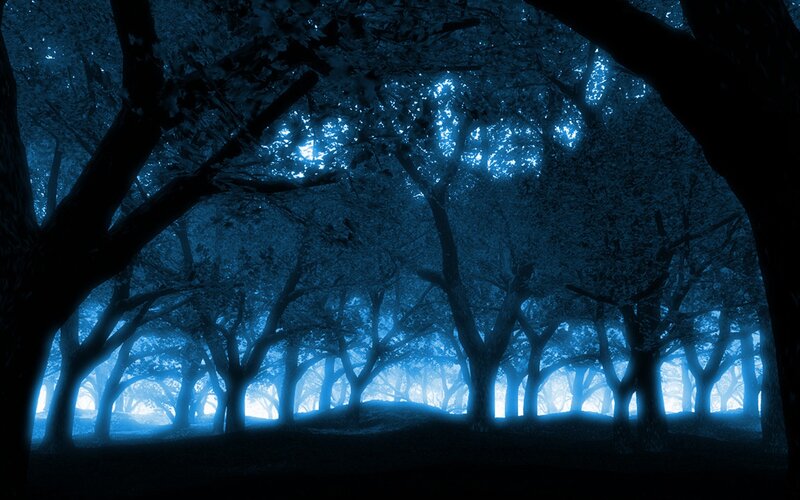 Silhouetted Trees in Forest — Blue, Mysterious, Night, Digital Art