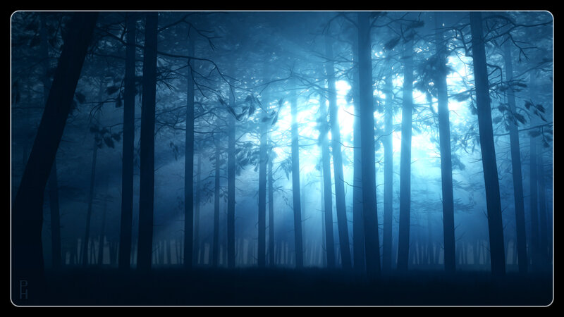 Silhouetted Trees in Forest — Blue, Mysterious, Night