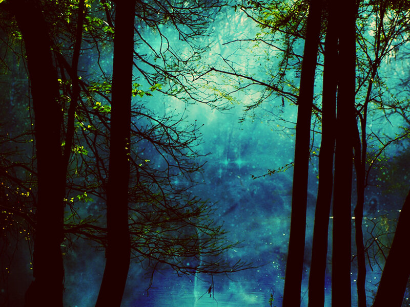 Silhouetted Trees in Forest — Blue, Mystical, Night