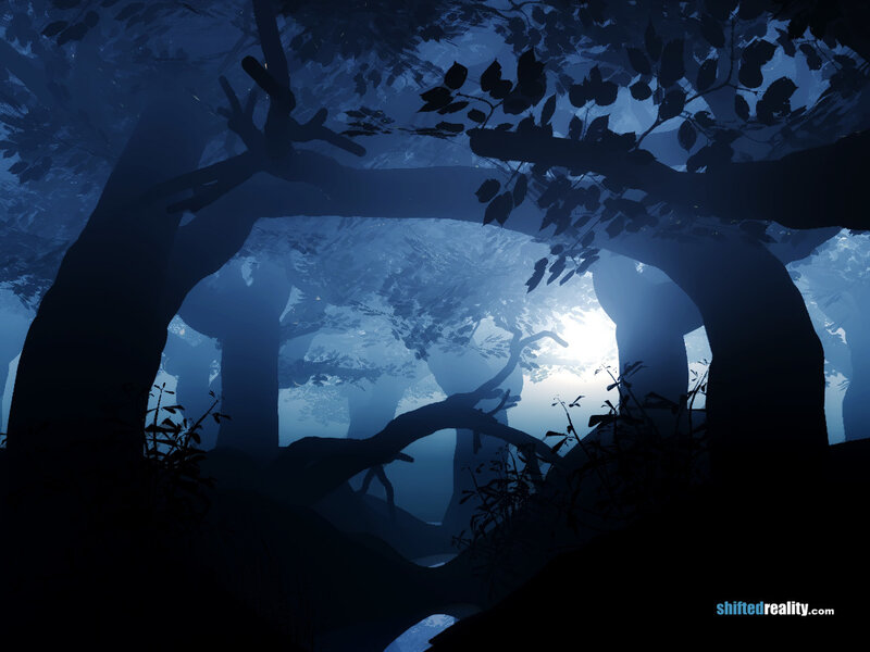 Silhouetted Trees in Forest — Blue