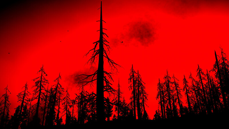 Silhouetted Trees in Forest — Red, Dramatic, Night