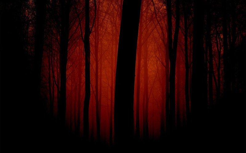 Silhouetted Trees in Forest — Red, Dramatic