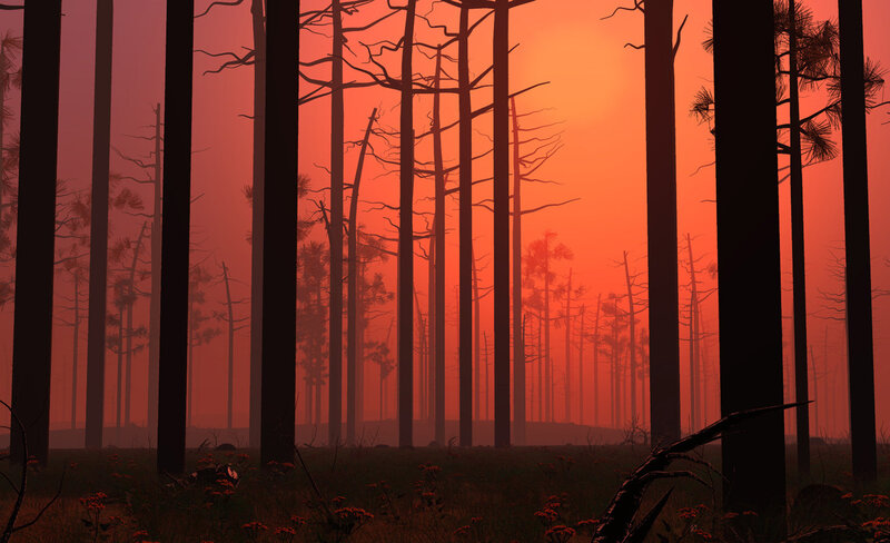 Silhouetted Trees in Forest — Red