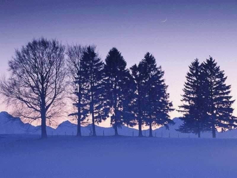 Silhouetted Trees in Snow — Blue
