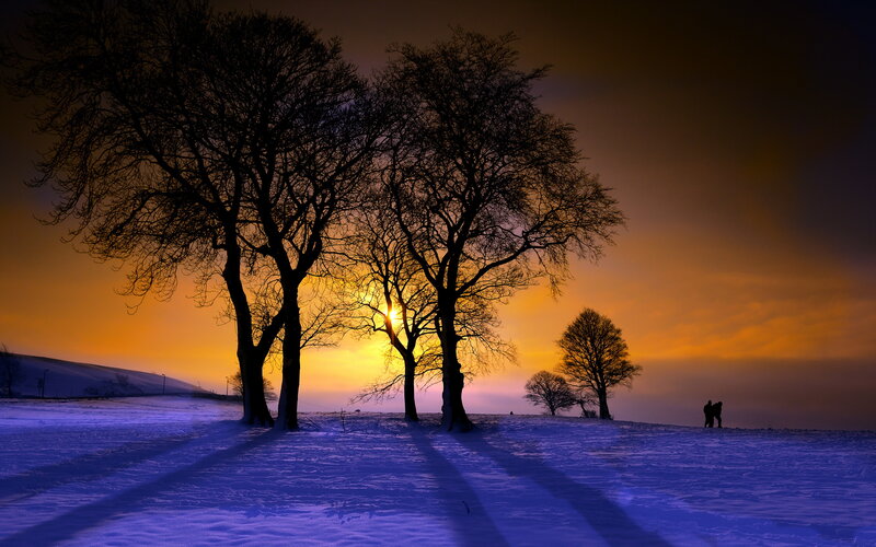 Silhouetted Trees in Snow — Orange, Dramatic