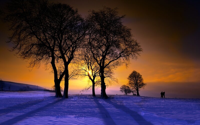 Silhouetted Trees in Snow — Orange, Dramatic, Winter, Photograph, Sunset, People