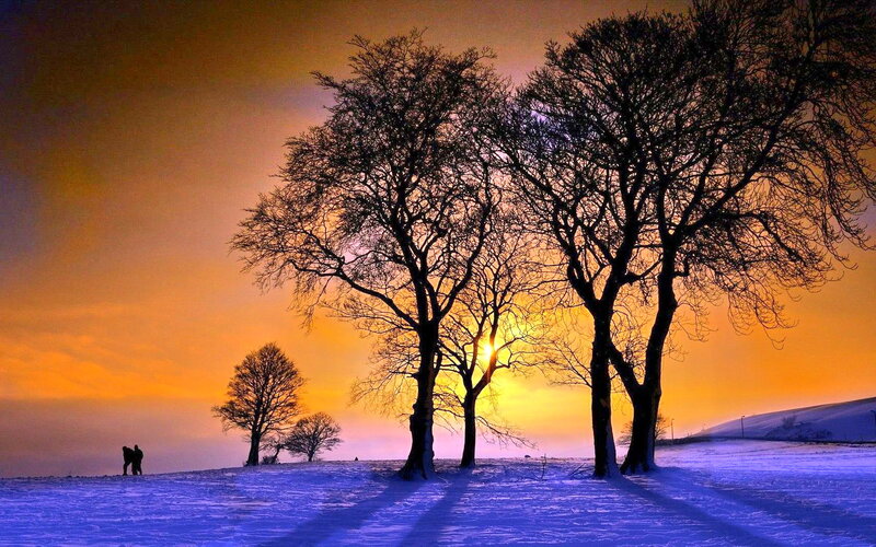 Silhouetted Trees in Snow — Orange, Dramatic, Winter, Photograph, Sunset