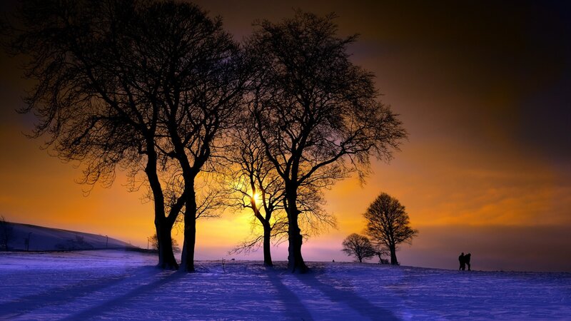 Silhouetted Trees in Snow — Orange, Dramatic, Winter, Photograph