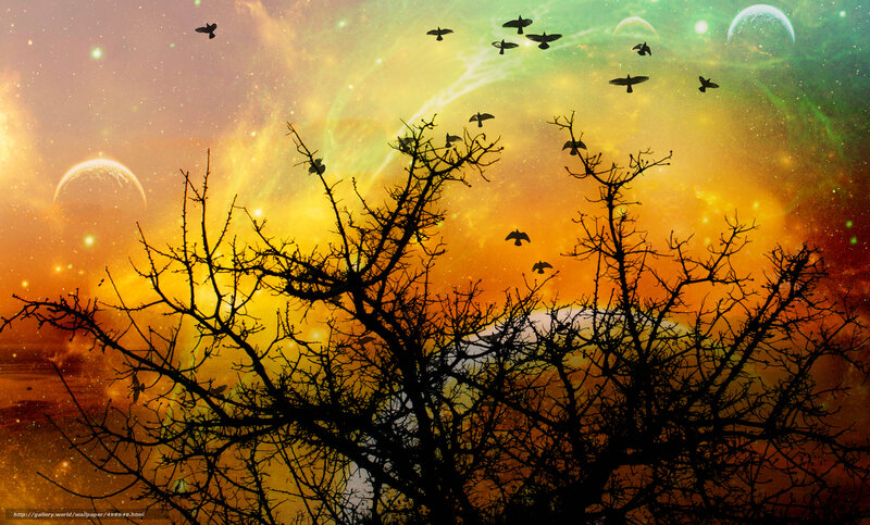 Silhouetted trees in space