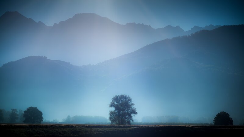 Silhouetted Trees in Valley