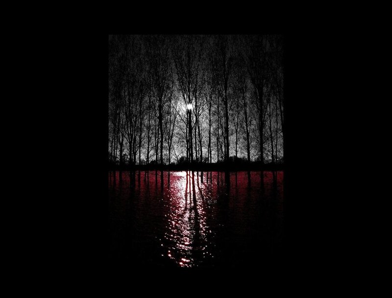 Silhouetted Trees in Water — Black