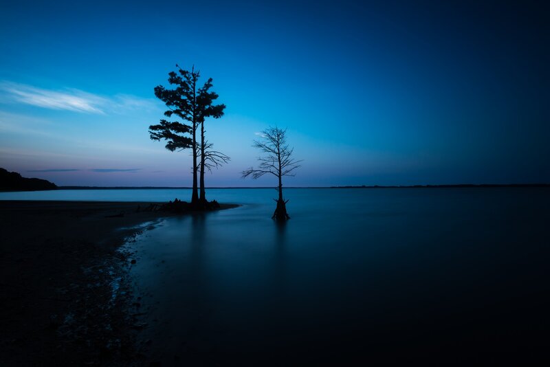Silhouetted Trees in Water — Blue, Serene, Night