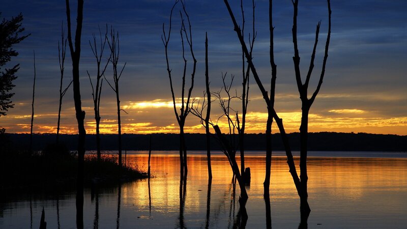 Silhouetted Trees in Water — Blue, Serene, Sunset, Photograph, Sky, Orange