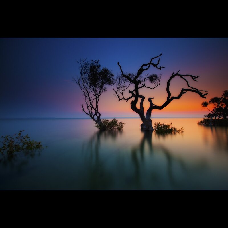 Silhouetted Trees in Water — Blue, Serene, Sunset, Photograph, Sky, Reflection, Orange