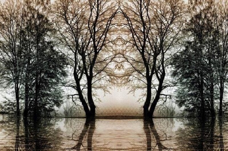 Silhouetted Trees in Water — Brown