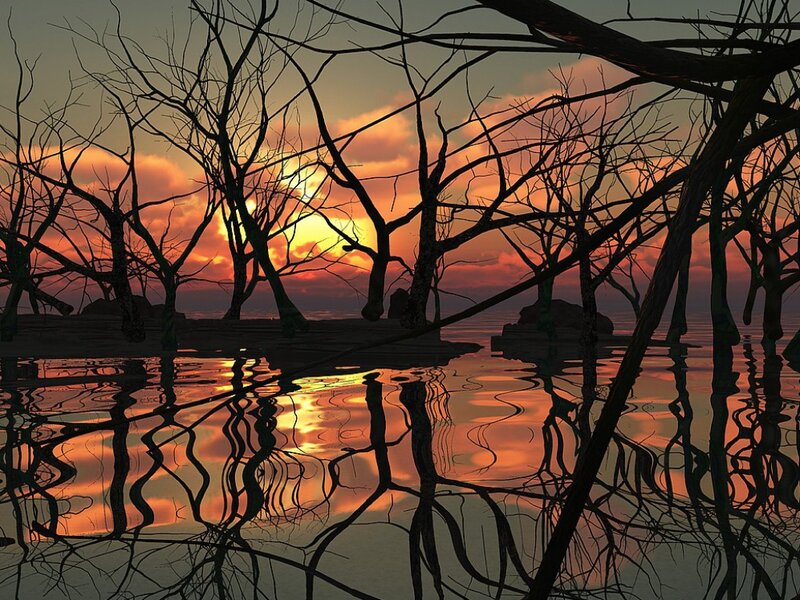 Silhouetted Trees in Water — Orange, Dramatic, Sunset, Digital Art