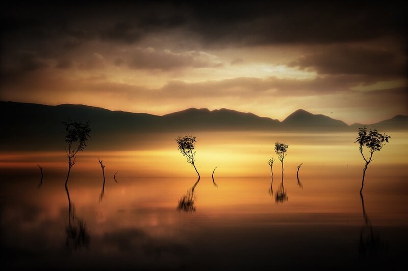 Silhouetted Trees in Water — Orange, Dramatic, Sunset, Photograph, Mountains