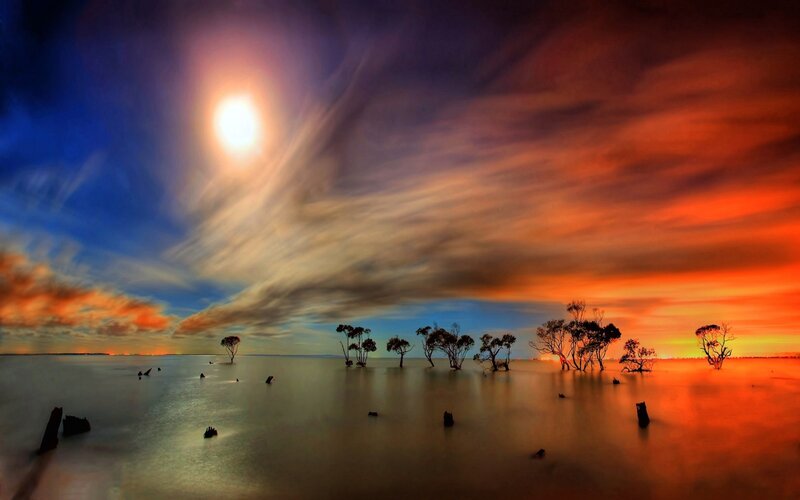 Silhouetted Trees in Water — Orange, Dramatic, Sunset, Photograph, Sky