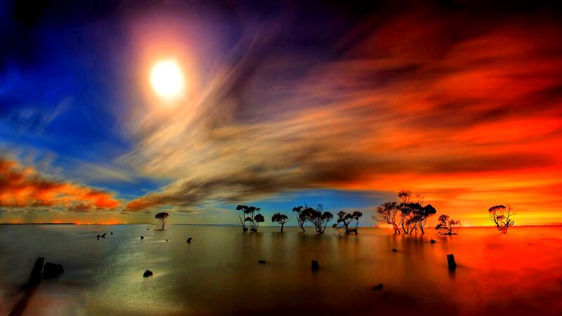 Silhouetted Trees in Water — Orange, Dramatic, Sunset