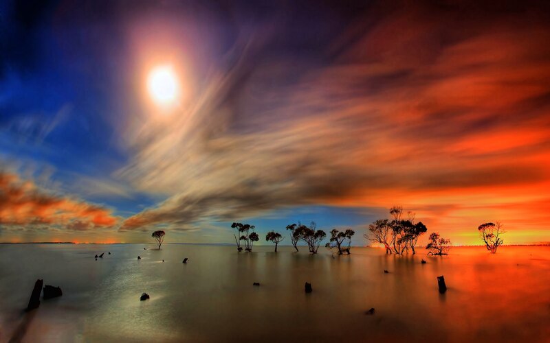 Silhouetted Trees in Water — Orange, Dramatic