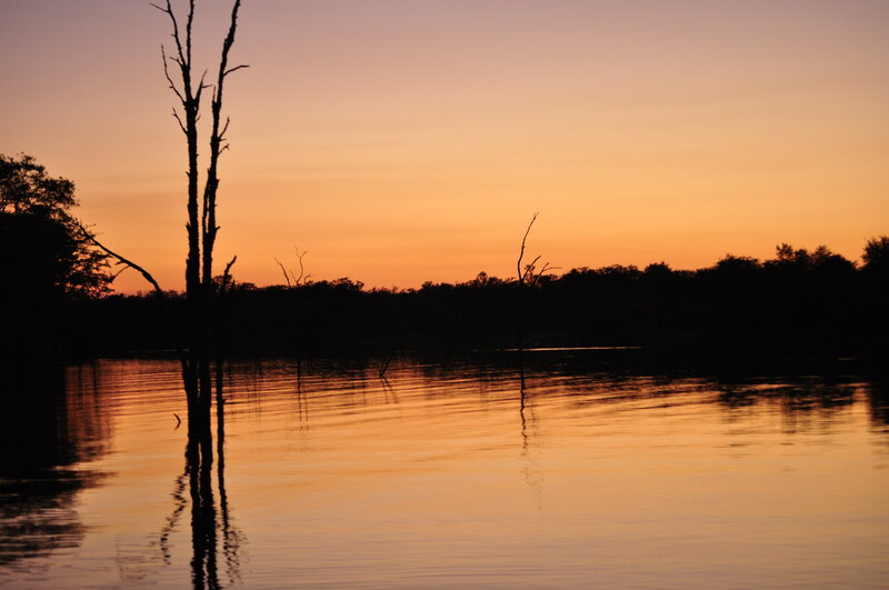 Silhouetted Trees in Water — Orange