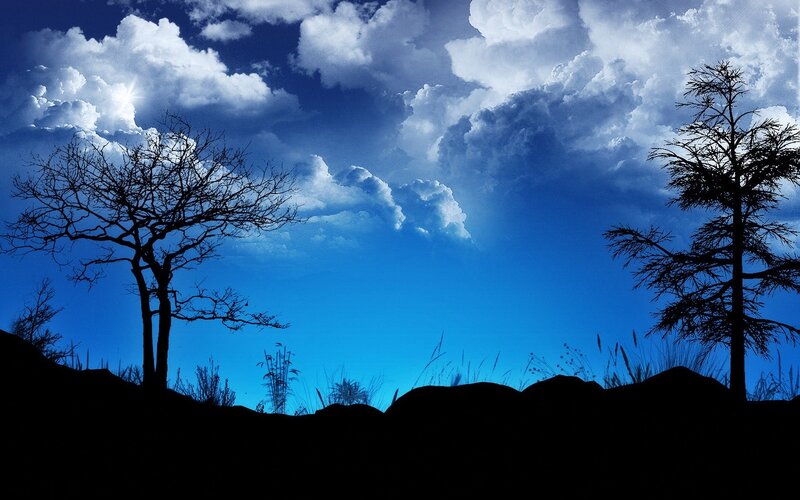 Silhouetted Trees Landscape