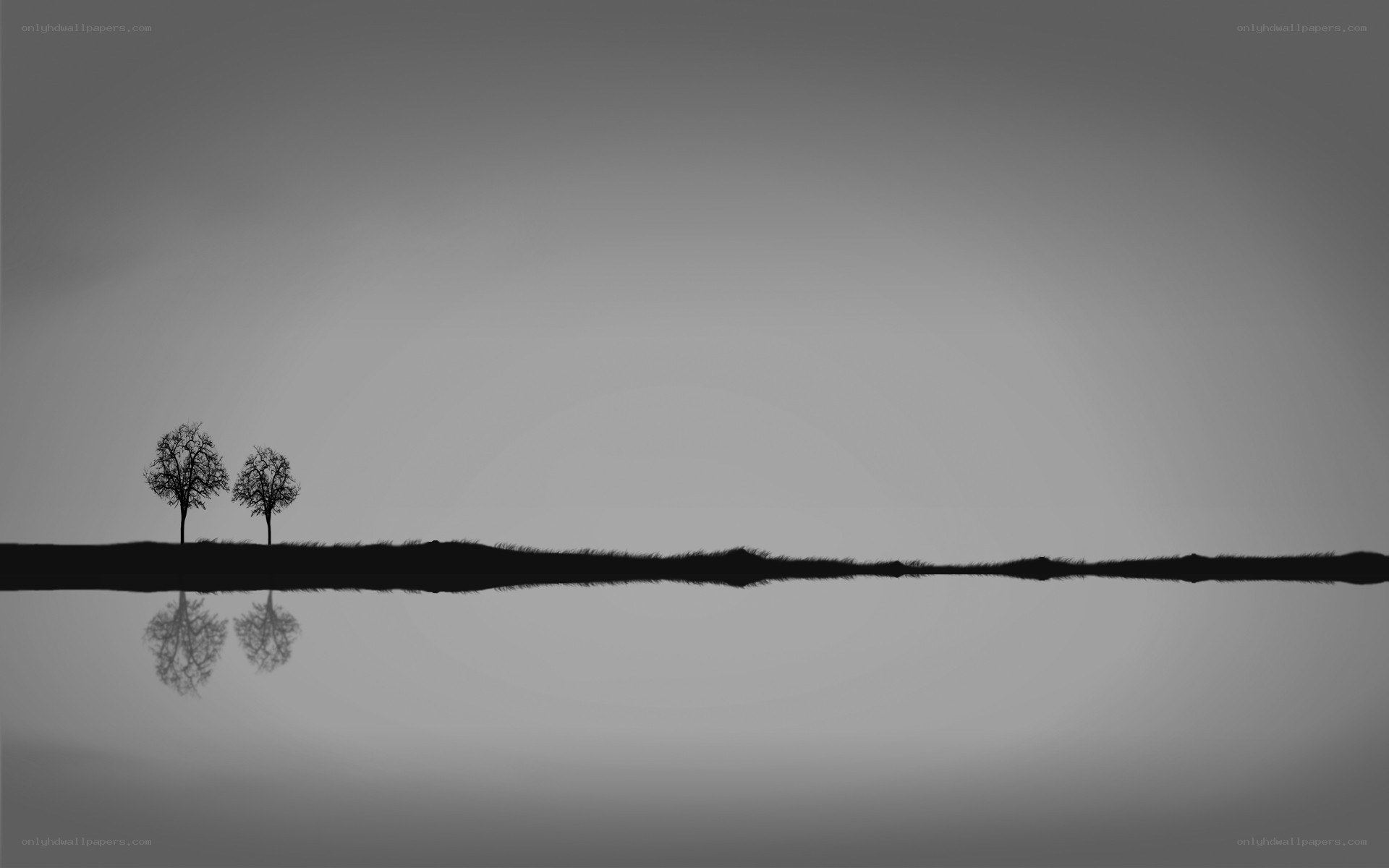 Silhouetted trees on a calm lake