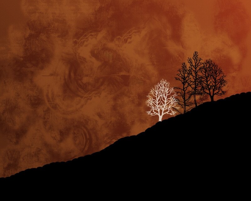 Silhouetted trees on a hill