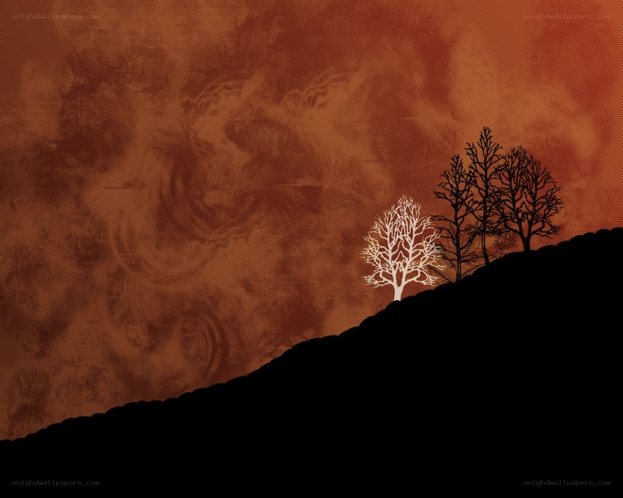 Silhouetted trees on a hill