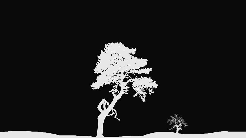 Silhouetted trees on black