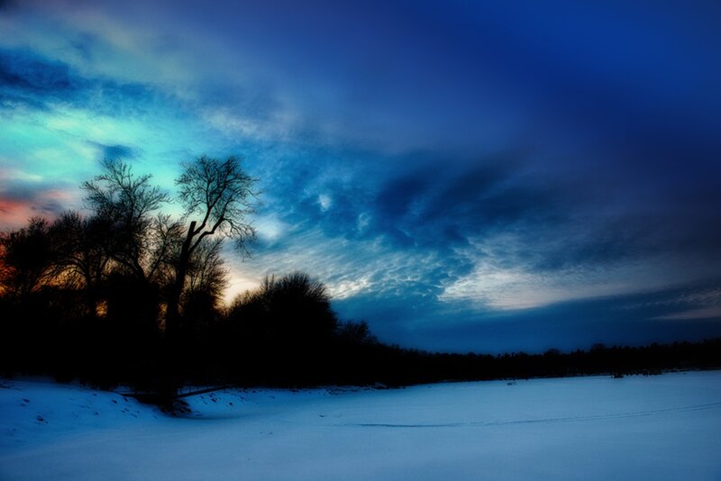 Silhouetted Trees on Frozen Lake