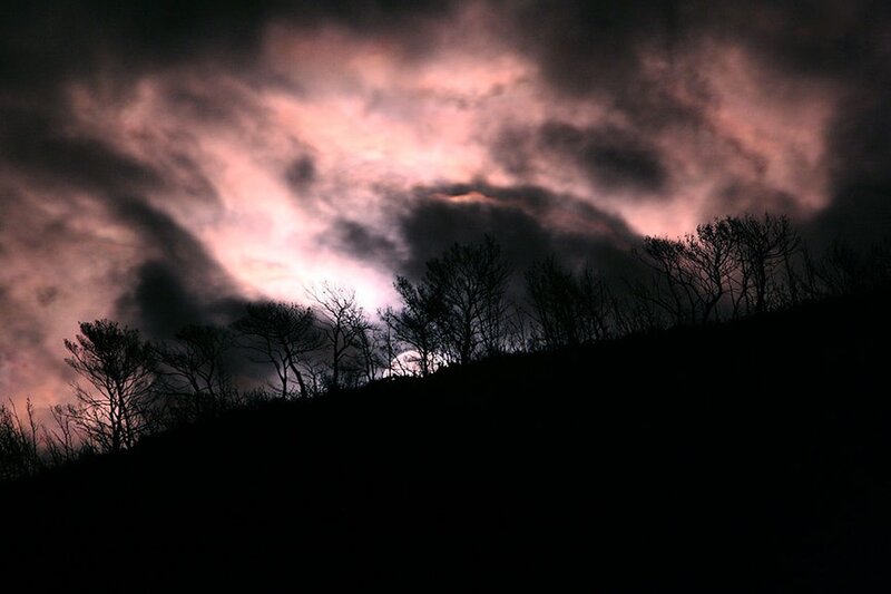 Silhouetted Trees on Hill — Black, Dramatic, Night, Photograph, Clouds
