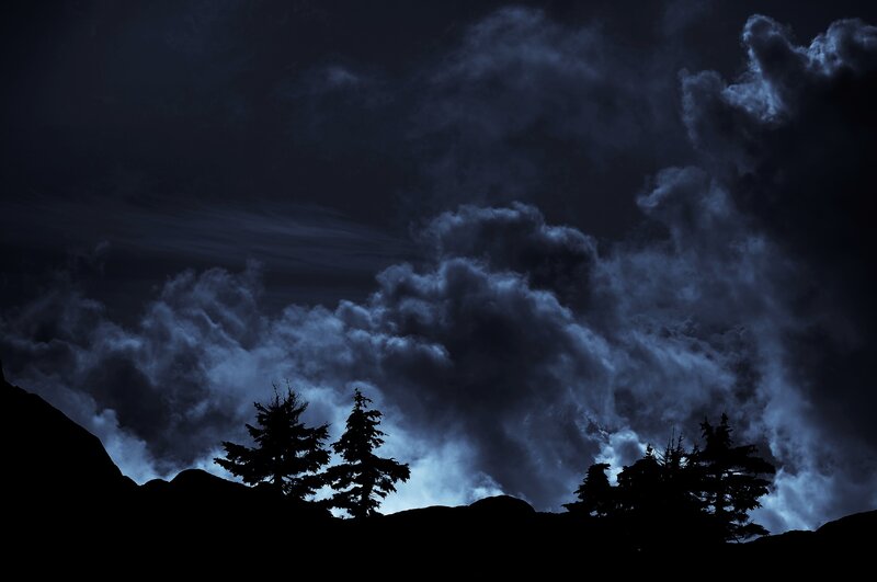 Silhouetted Trees on Hill — Black, Dramatic, Night, Photograph