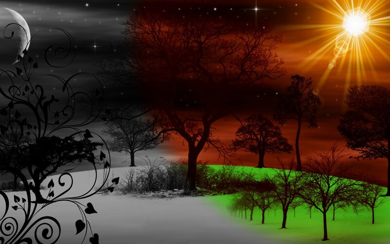 Silhouetted Trees on Hill — Black, Dramatic
