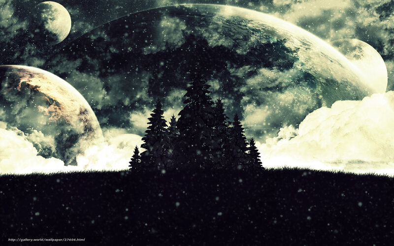 Silhouetted Trees on Hill — Black