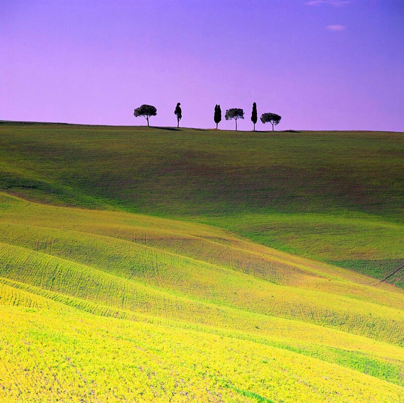 Silhouetted Trees on Hill — Green, Serene