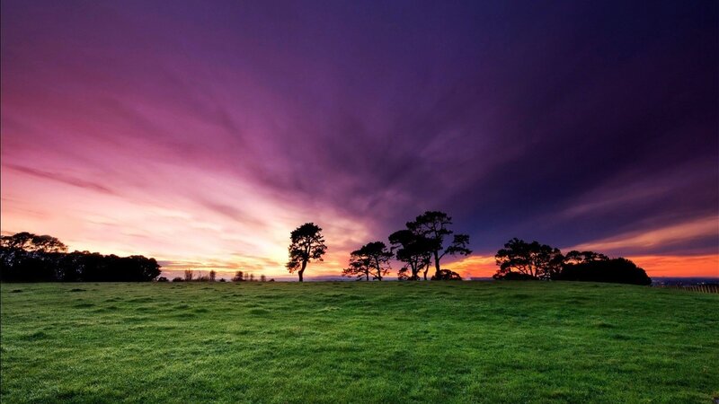 Silhouetted Trees on Hill — Purple, Dramatic, Sunset
