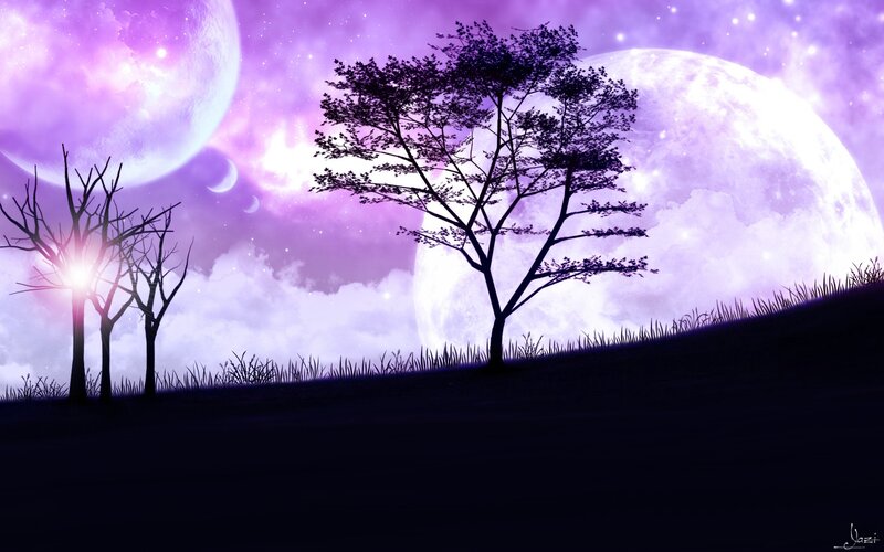 Silhouetted Trees on Hill — Purple, Dreamy