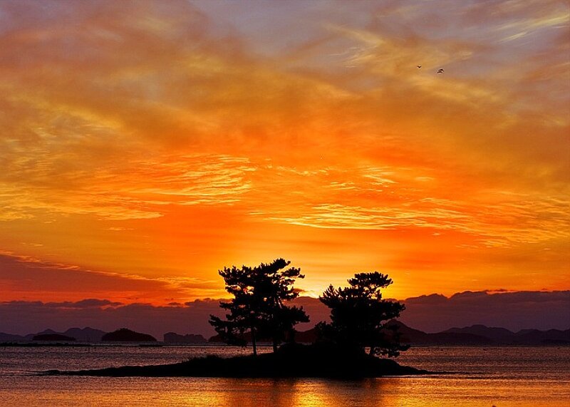 Silhouetted Trees on Island — Orange, Dramatic, Sunset, Photograph, Sky