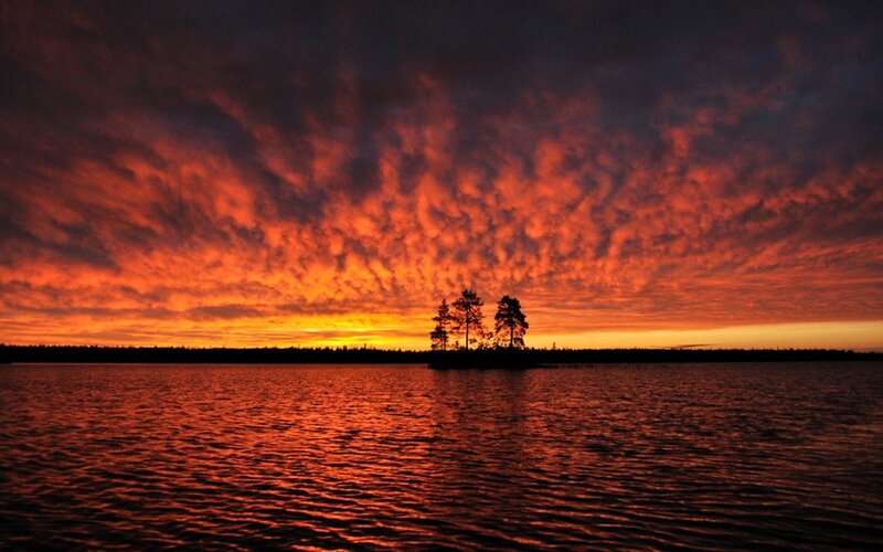 Silhouetted Trees on Island — Orange, Dramatic, Sunset, Photograph