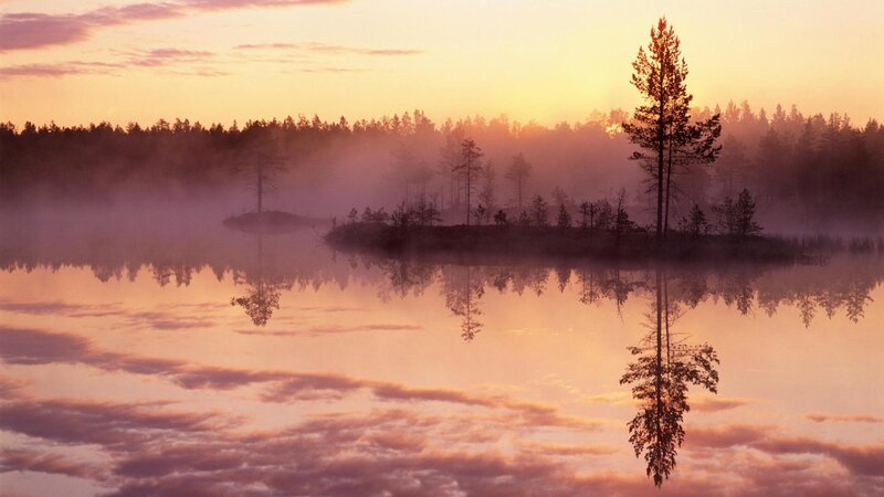 Silhouetted Trees on Island — Pink