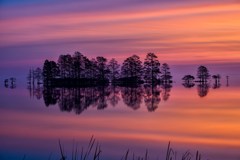 Silhouetted Trees on Island — Purple, Serene