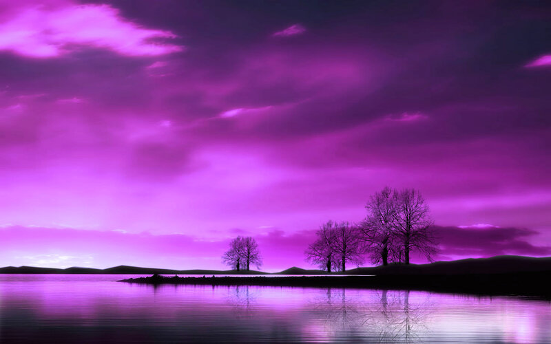 Silhouetted Trees on Island — Purple