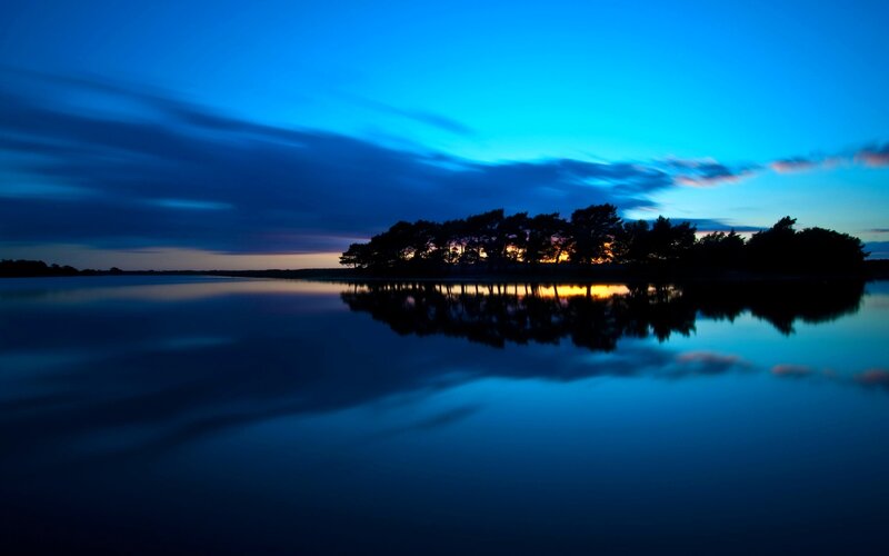 Silhouetted Trees on Island