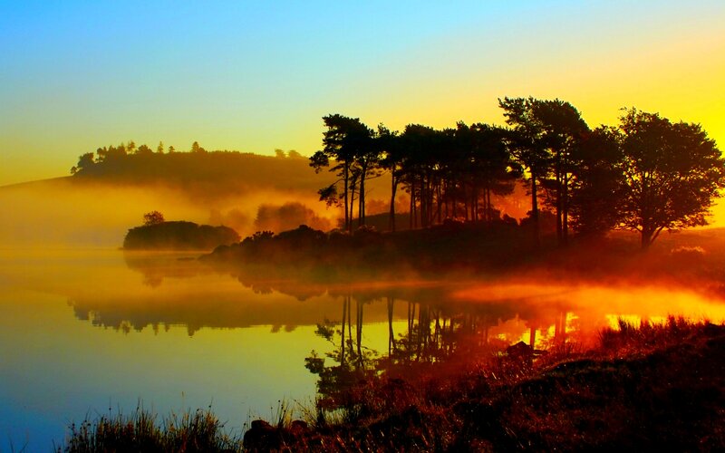 Silhouetted Trees on Island — Yellow