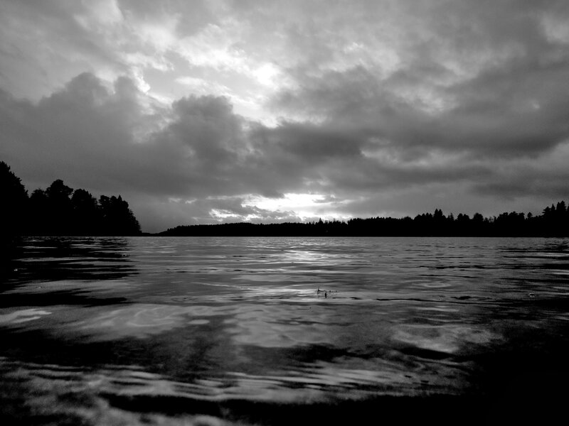 Silhouetted Trees on Lake — Black